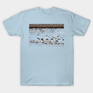 The Pelicans Found the Fish by Debra Martz T-Shirt